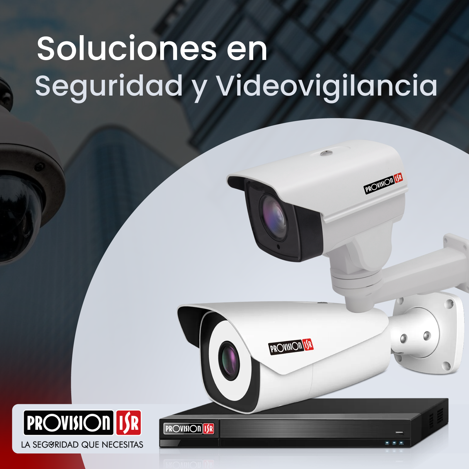 banner-promocional-poly